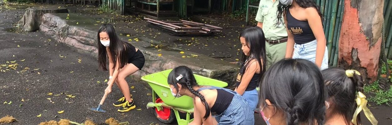 kotoran gajah jadi kertas